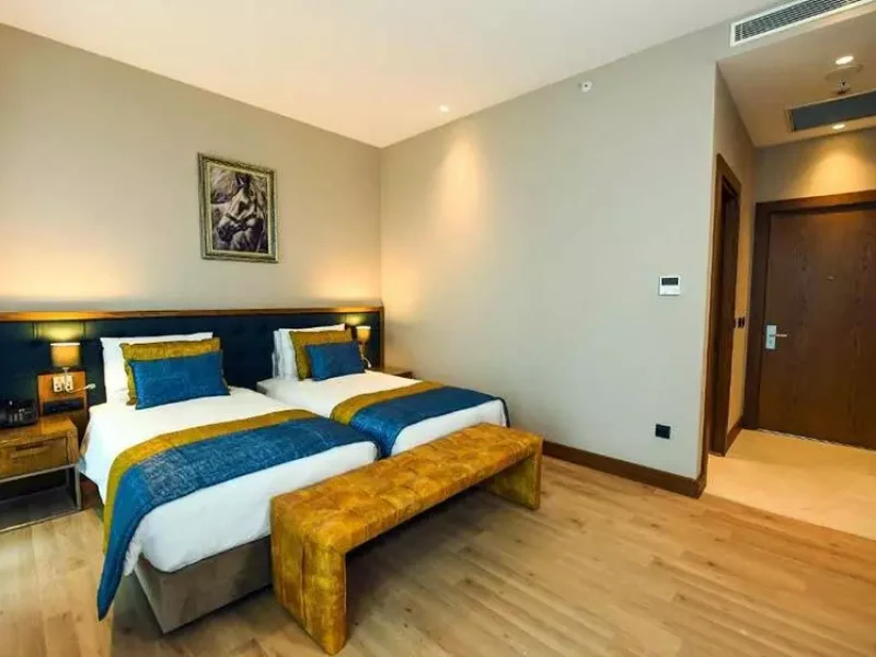 اتاق Deluxe Double or Twin Room